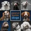 Pet Lover's Bundle - Image 3